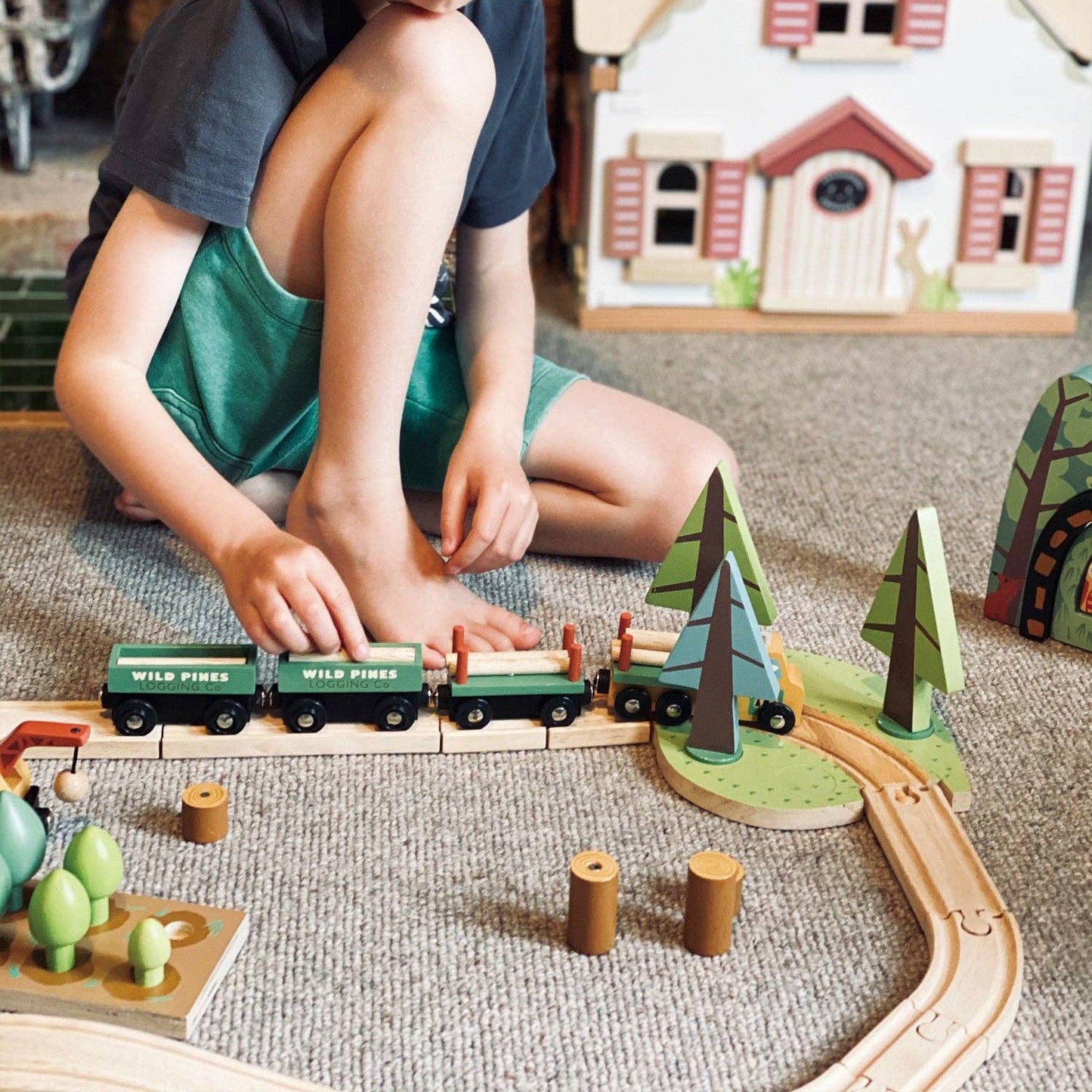 Wild Pines Train Set