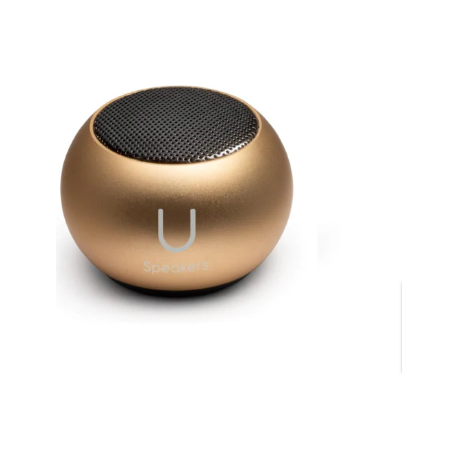 Classic Gold Mini Speaker