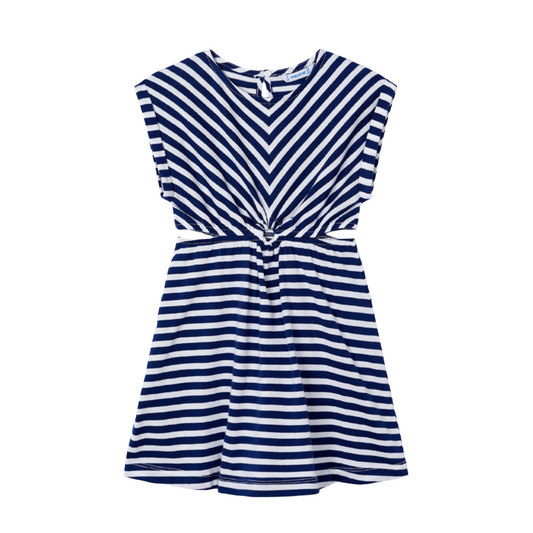 Ink Chevron Stripe Dress